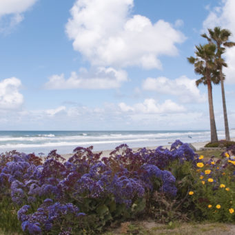 Best Beaches in California