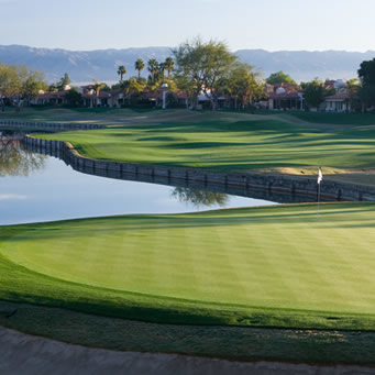 A Peek Behind The Palms (A Brief History of Palm Springs)