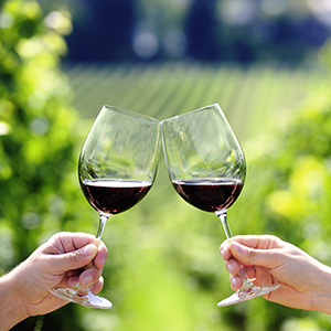 5 Wineries You Need to Check Out in Calaveras County