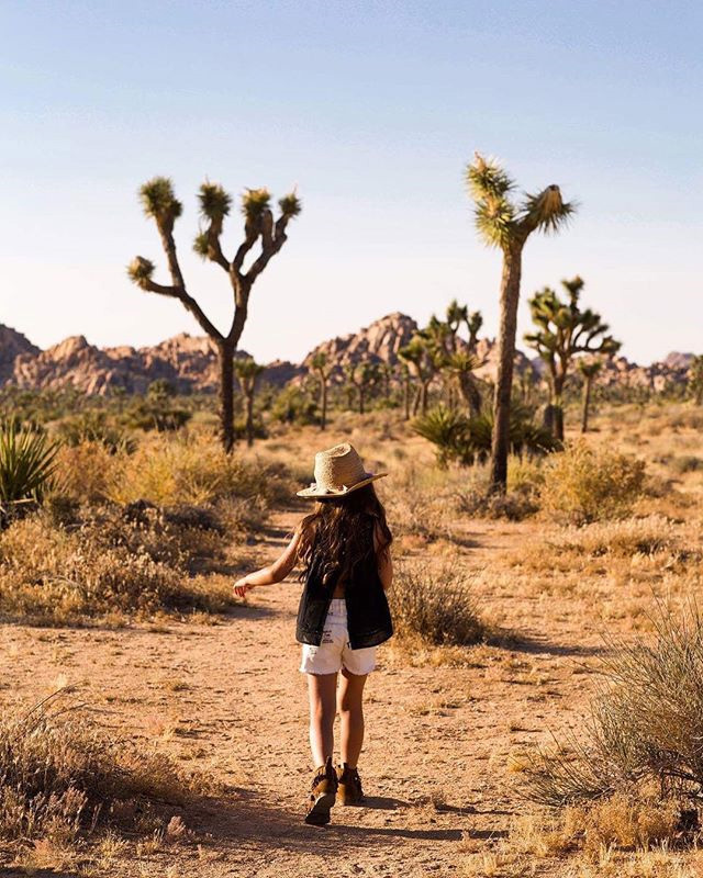 Joshua Tree Events Perfect for Fall