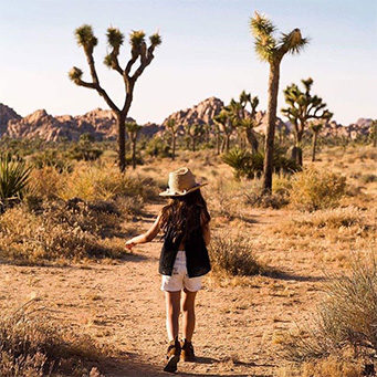 Joshua Tree Events Perfect for Fall
