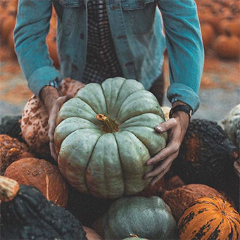 Bibbity-Bobbity-Boo! Have a Family-Friendly Halloween in San Diego