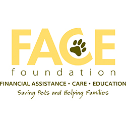 face foundation