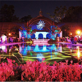 Seas & Greetings! Time to Get Festive in SoCal