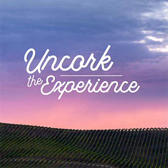 Your Napa Destination Guide is Here!