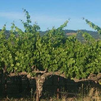 Things to Do in Napa Besides Wine Tasting