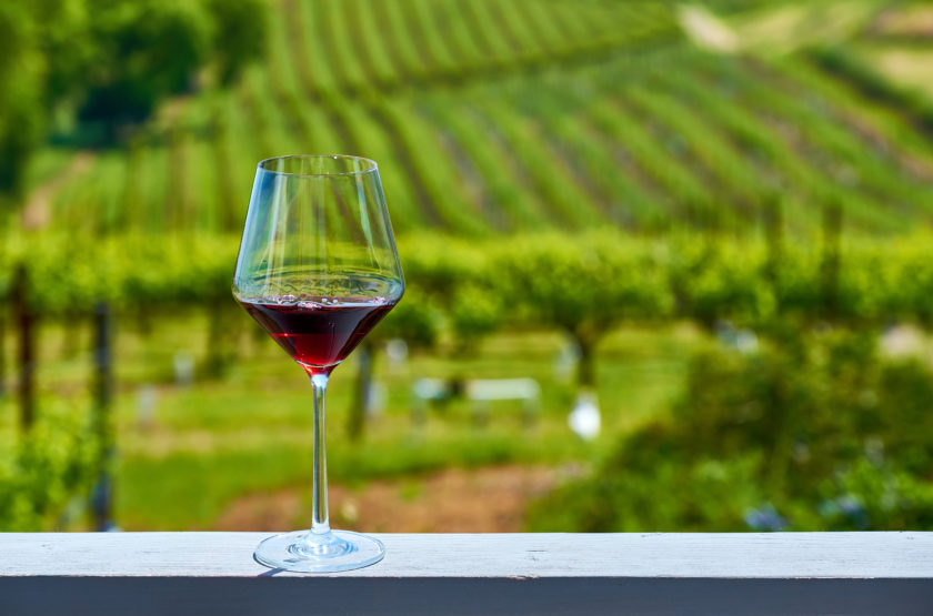 Wine tasting in California. Glass of red wine and vineyards.