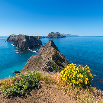 Day Trip: Channel Islands National Park