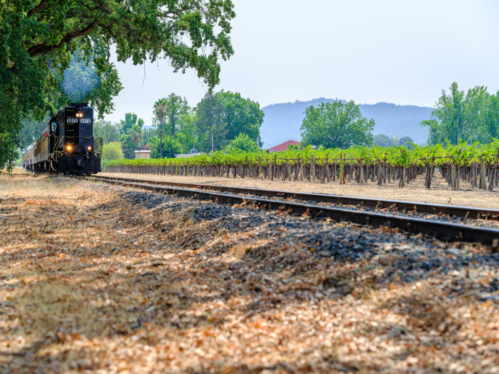 train passing a vineyard