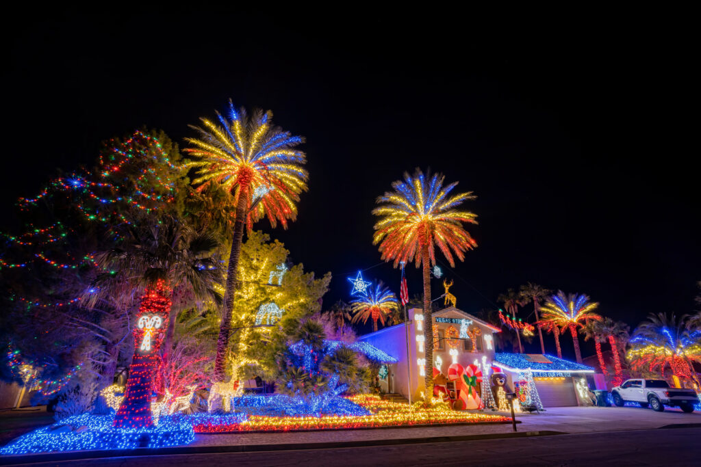 palm trees with colorful lights