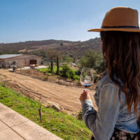 Discover this Certified Sustainable Winery in San Diego