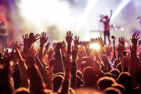 crowd at concert - summer music festival