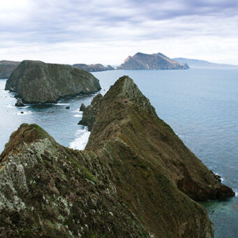 Day Trip: Channel Islands National Park