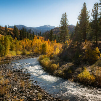 Where To See Fall Colors Near Lake Tahoe